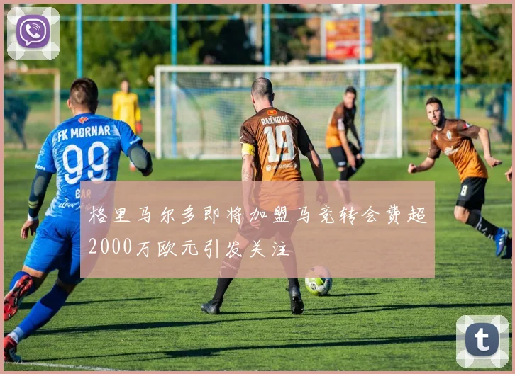 格里马尔多即将加盟马竞转会费超2000万欧元引发关注