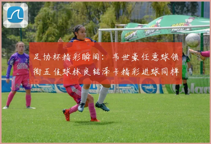 足协杯精彩瞬间：韦世豪任意球领衔五佳球林良铭泽卡精彩进球同样耀眼